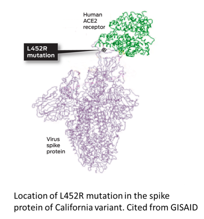 Epsilon (B.1.427/B.1.429) - GVN