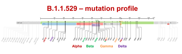 Omicron-mutation-profile-11.29.21