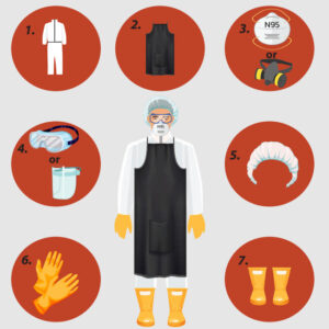A graphic showing a person dressed in personal protective equipment recommended for use when working with farm animals.